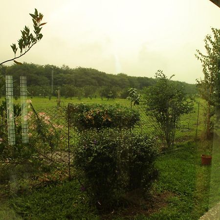 Countryside B&B Жуйсуй Номер фото